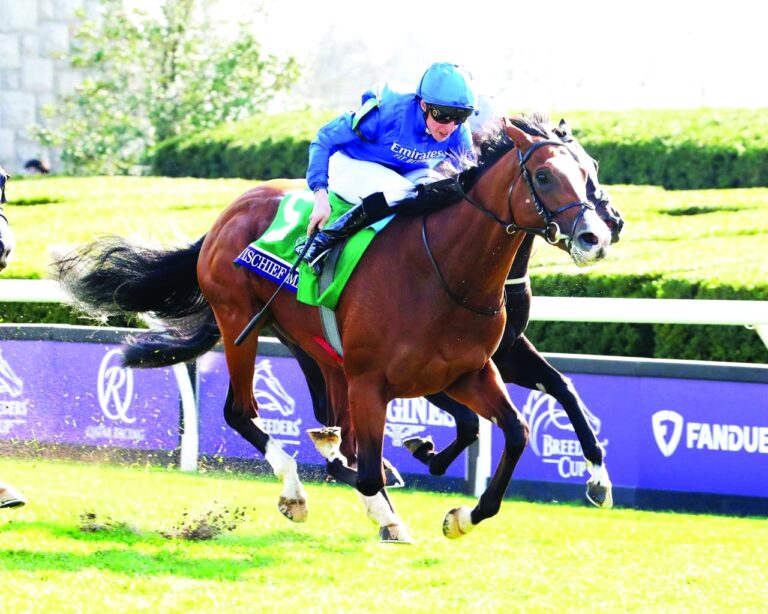 image - 2023-05-03T081129.242