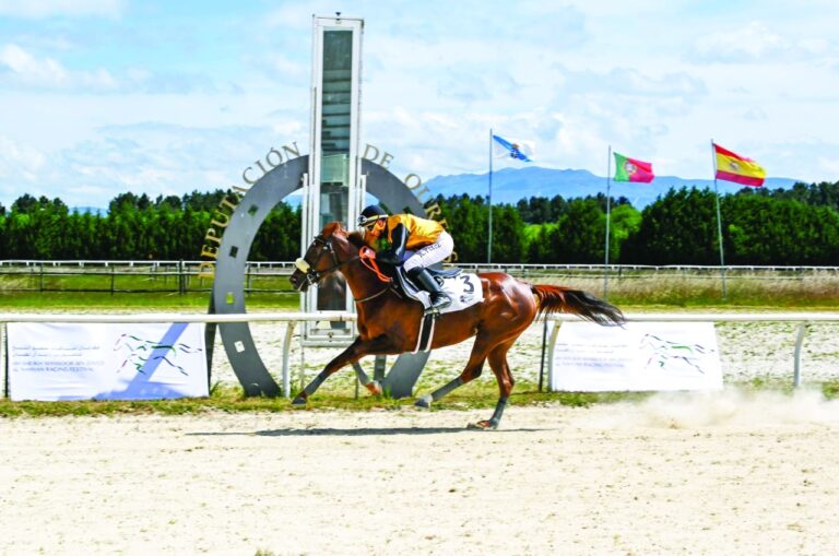 image - 2023-05-16T082645.371