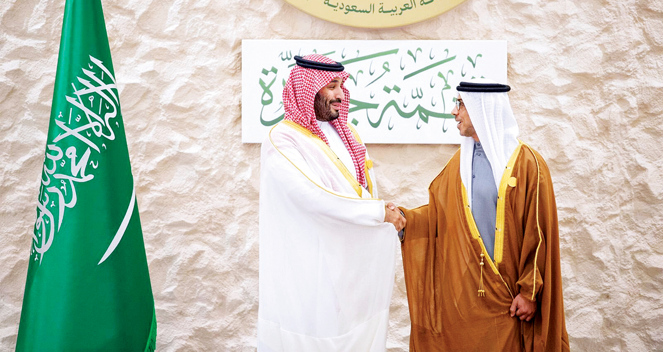 منصور بن زايد يؤكد دعم الإمارات ومساندتها كل خطوة تعزز التوافق والاستقرار والسلام في المنطقة.