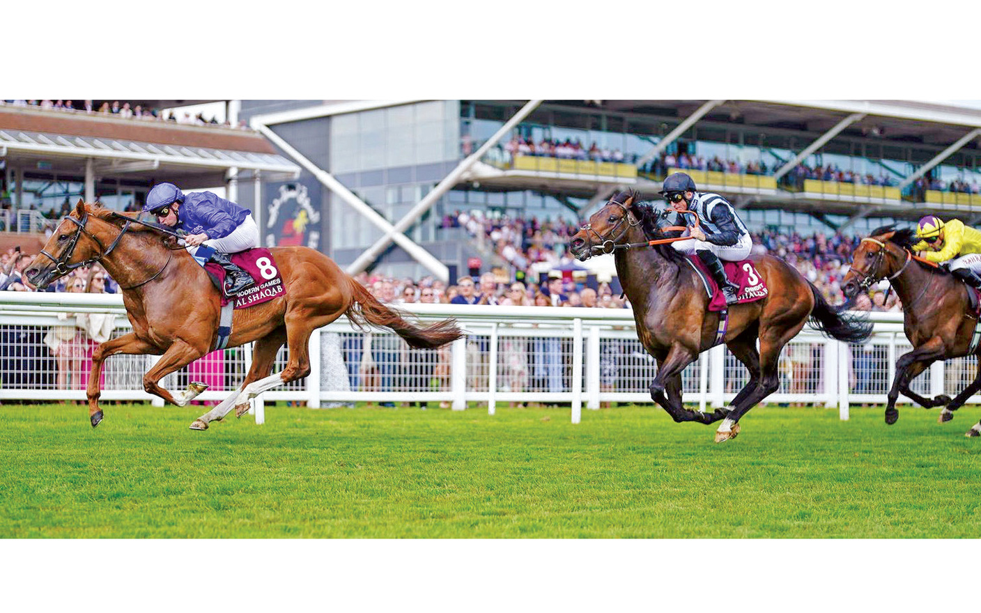 image - 2023-05-22T095350.231