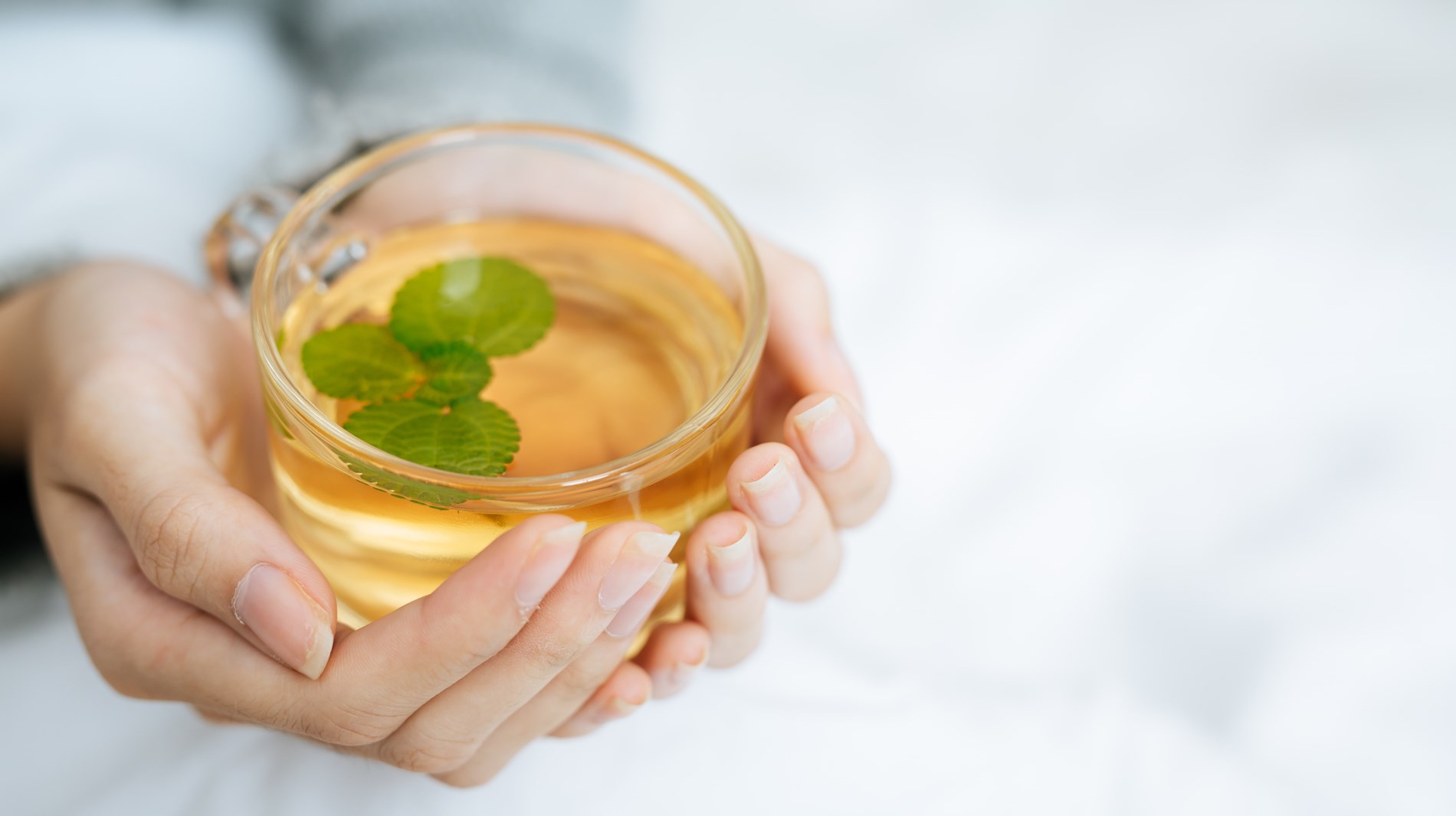 95b853c5-d11e-4c2e-bd65-630125507422