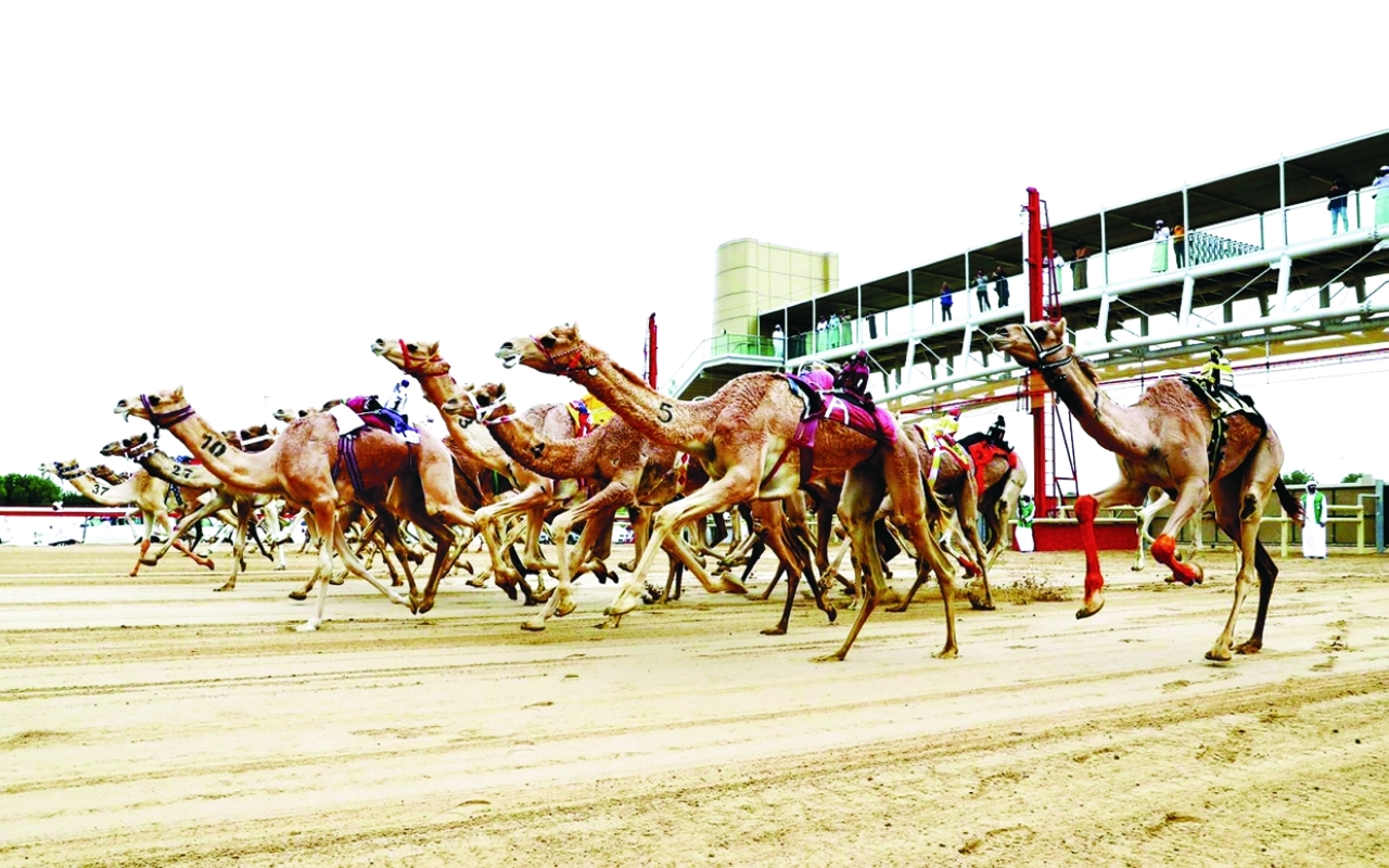 image - 2023-06-01T063632.065