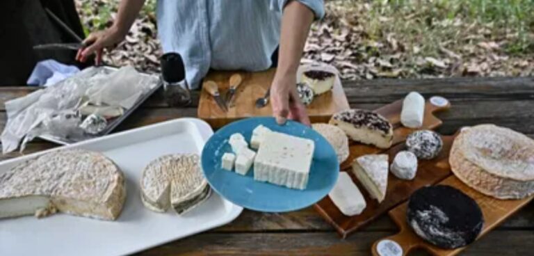 IMG_٢٠٢٣٠٧٣٠_١١٥٩١٢