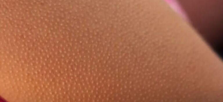 IMG_٢٠٢٣٠٧٣١_١٣٣١٣٨