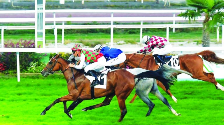 image - 2023-07-10T091554.425