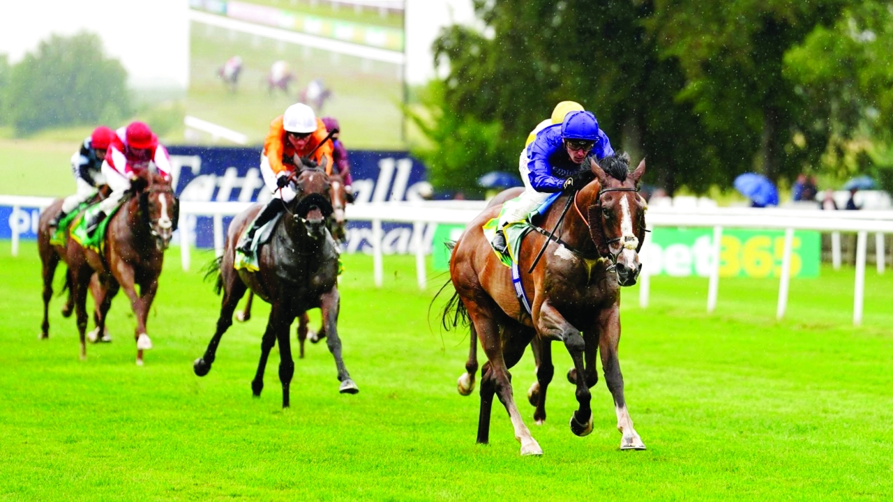 image - 2023-07-15T093212.278