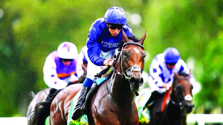 image - 2023-07-16T085724.301