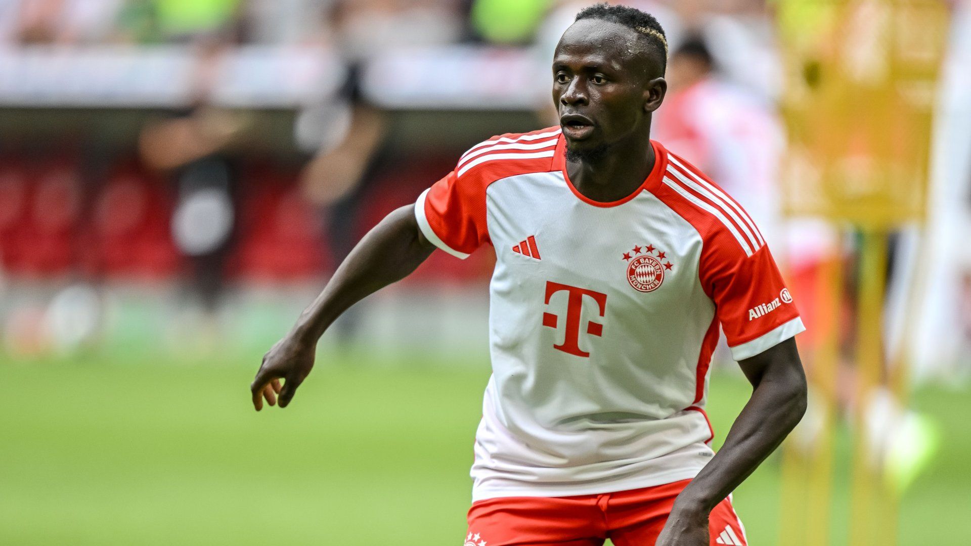 image - 2023-07-30T081652.142