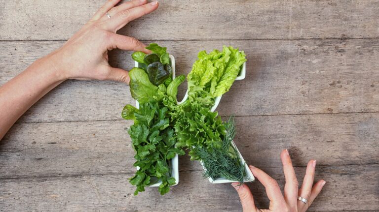 1e342b79-d06a-46bc-9f4d-ab2d955fc119