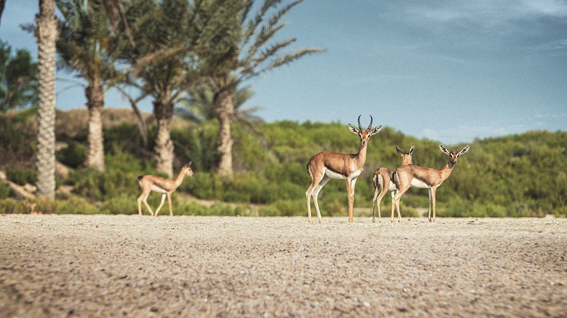 4ad417c7-99c8-44f9-940f-ad6113df72db