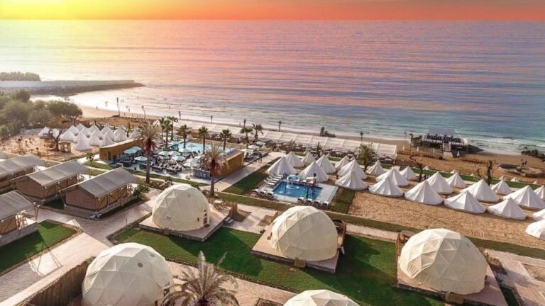 e9ed0733-15fb-4cef-858e-e84215f28d98