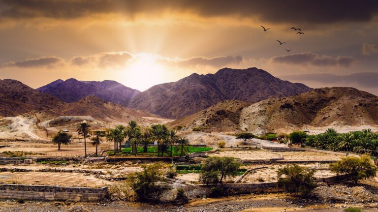 ec492664-bbce-48e0-8ad6-ce4eaff13e23