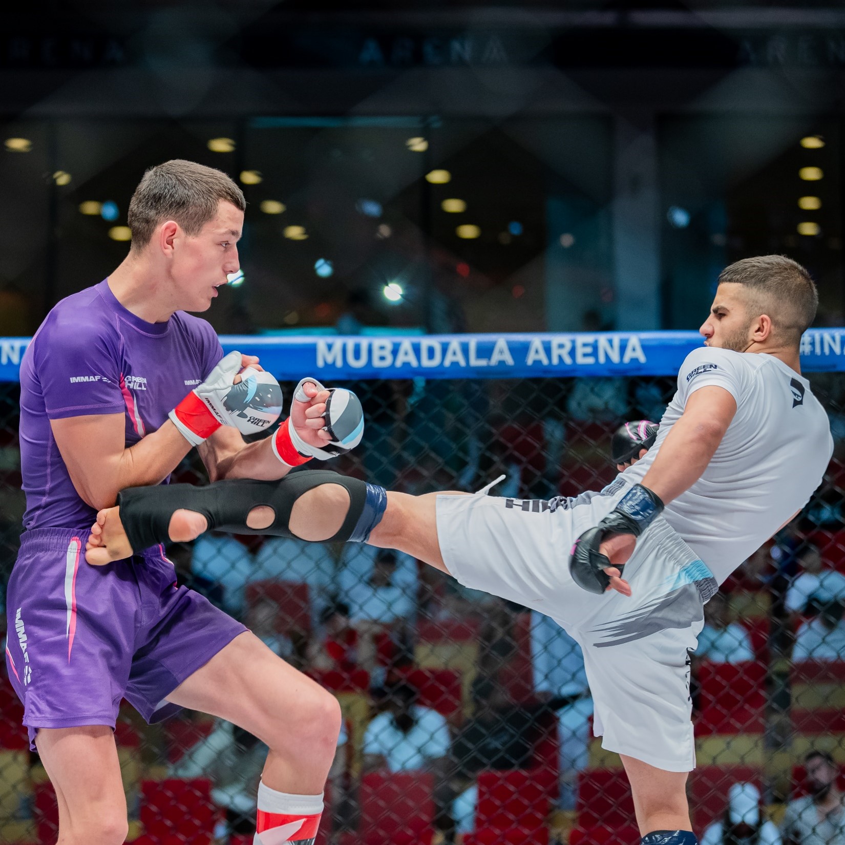 image - 2023-08-06T082231.668