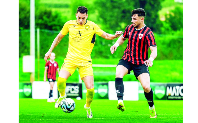 image - 2023-08-07T074112.603