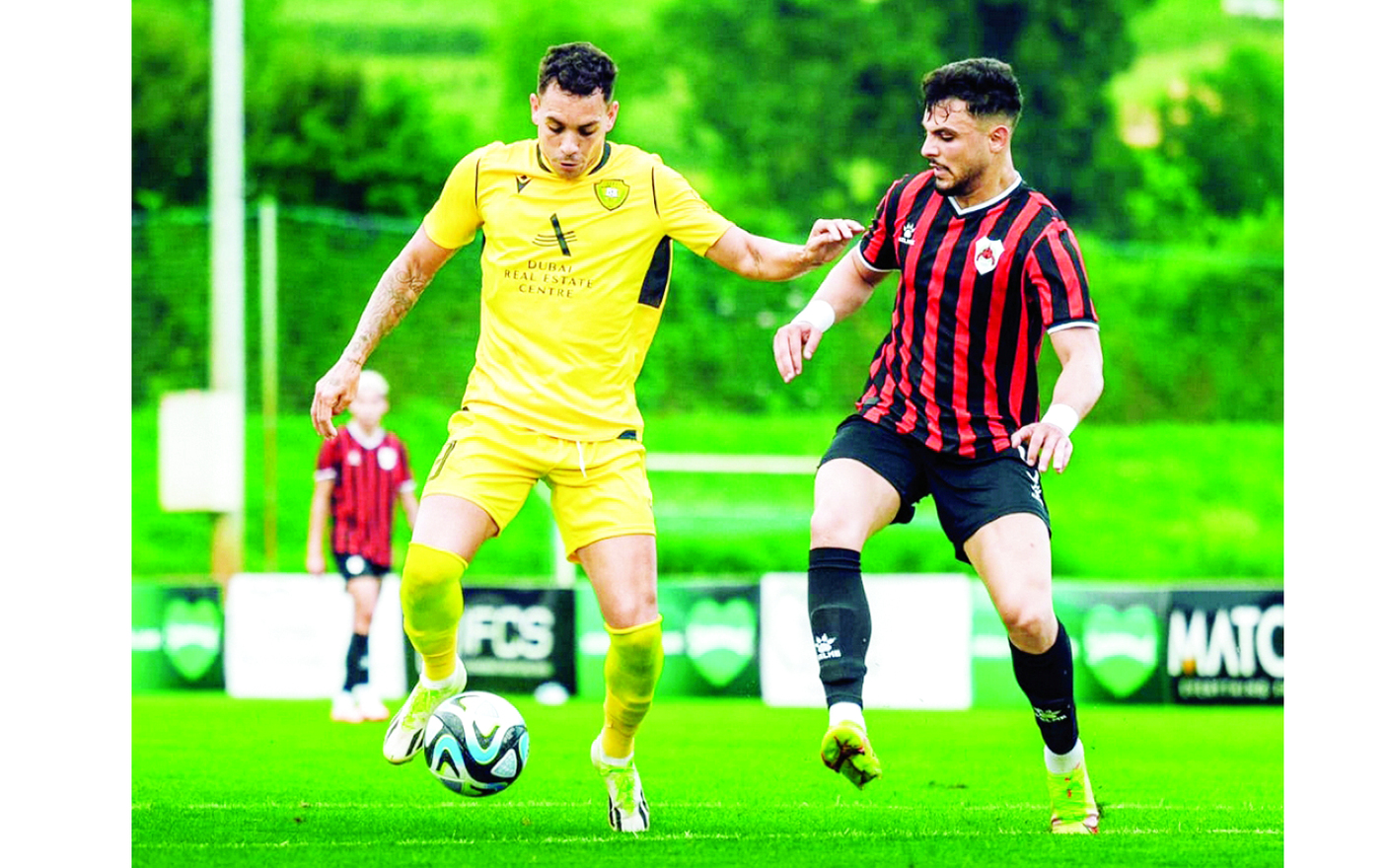 image - 2023-08-07T074112.603