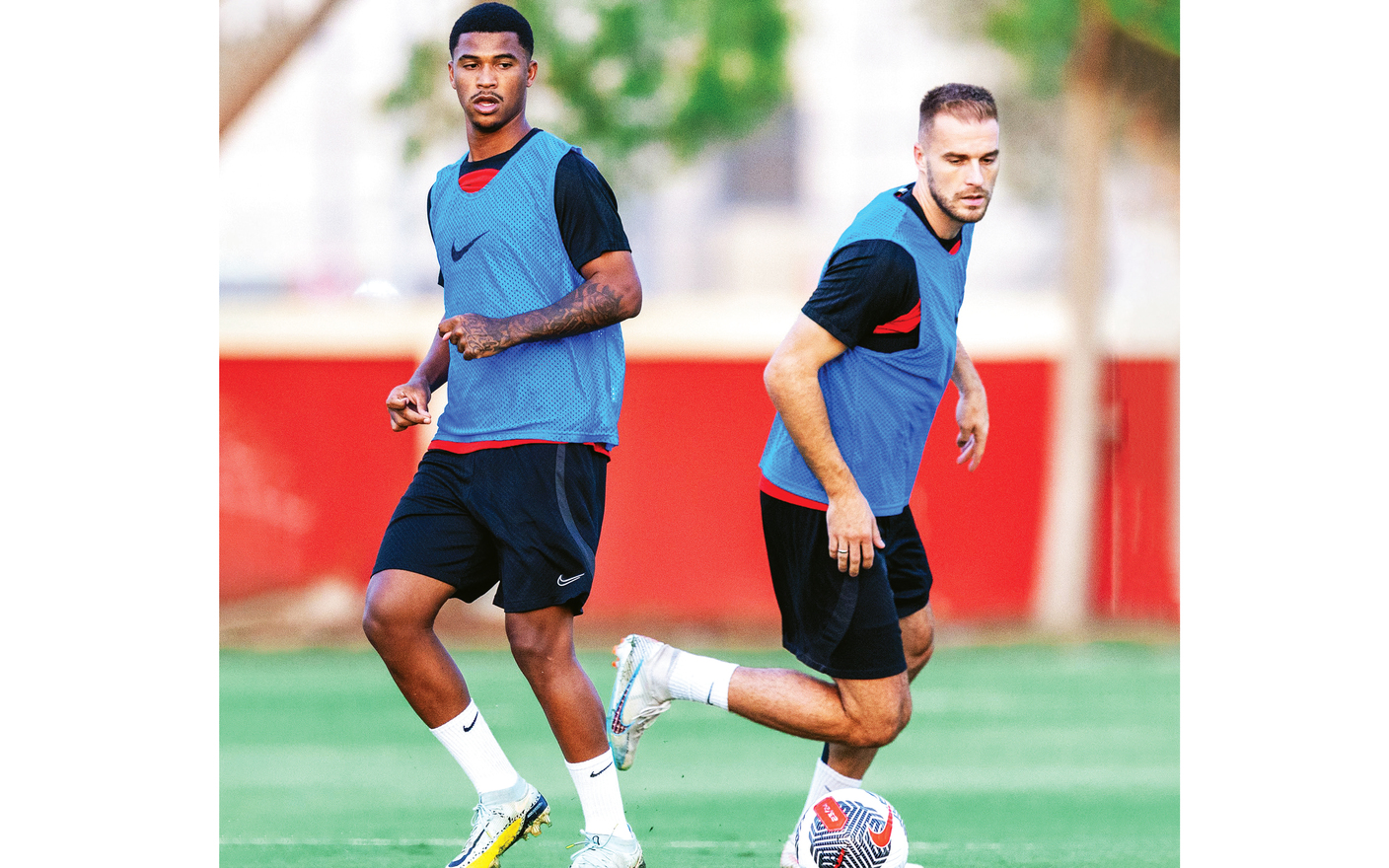 image - 2023-08-08T073504.718