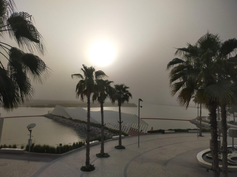 image - 2023-08-10T181229.364