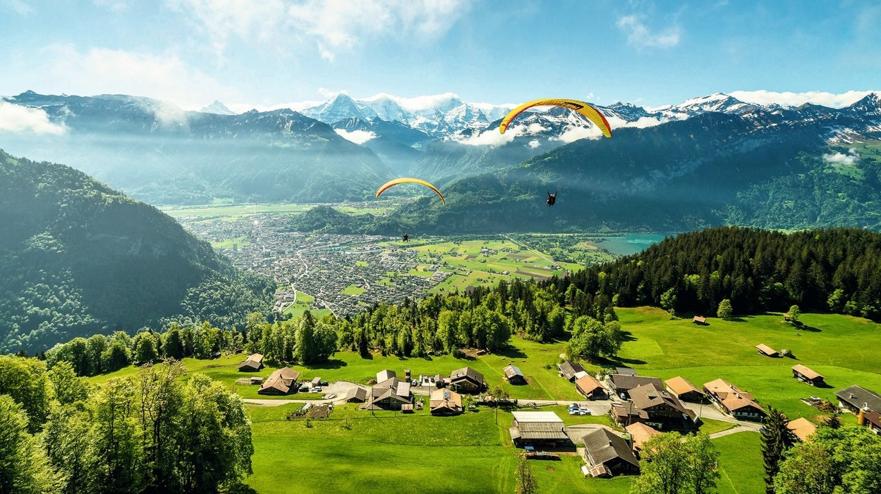 24c277a2-571f-4d50-8a70-c224d09d3dd9