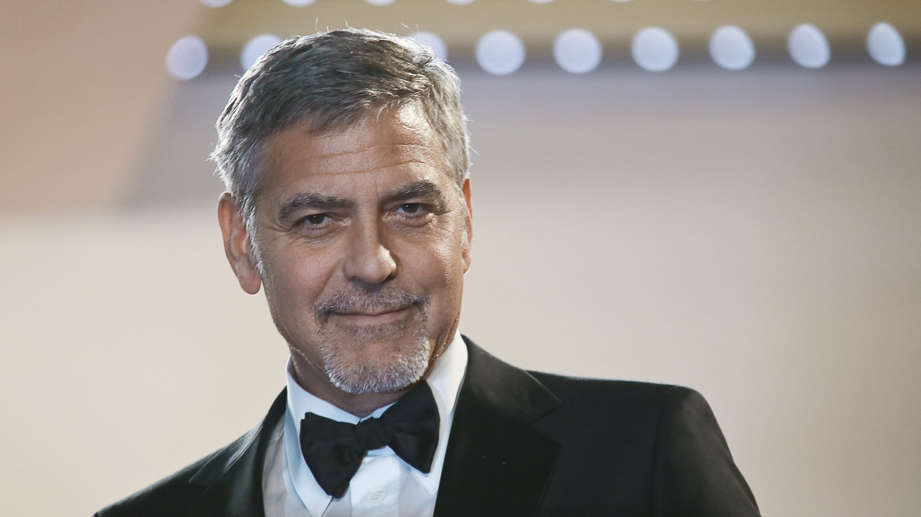 b231e649-04ca-43d6-987b-a3a60e86e191