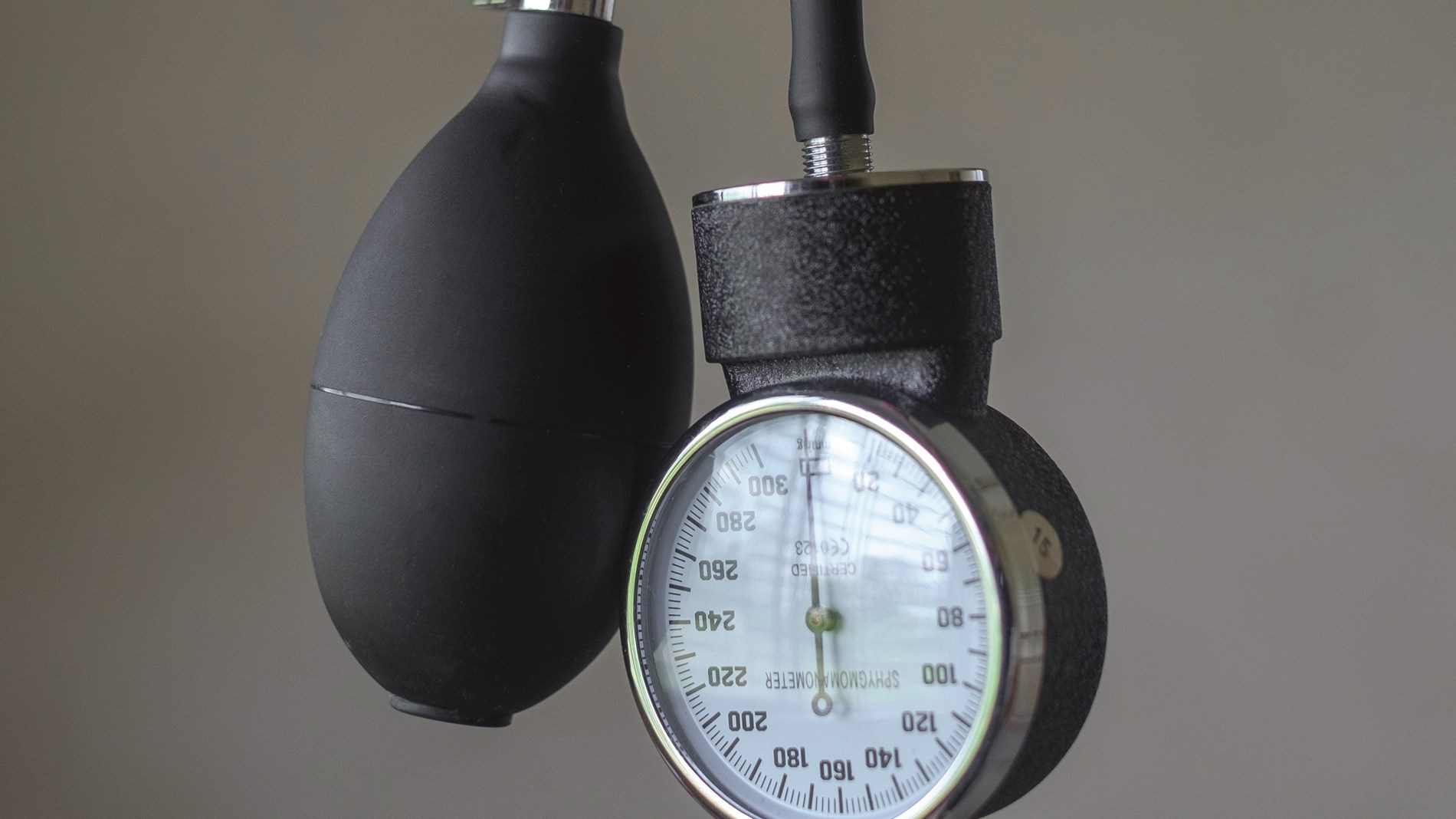 bad0ef0e-6475-46e3-8591-e81f6db038a3