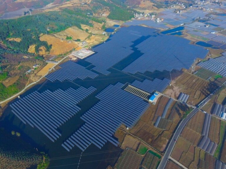 image - 2023-09-11T085431.187