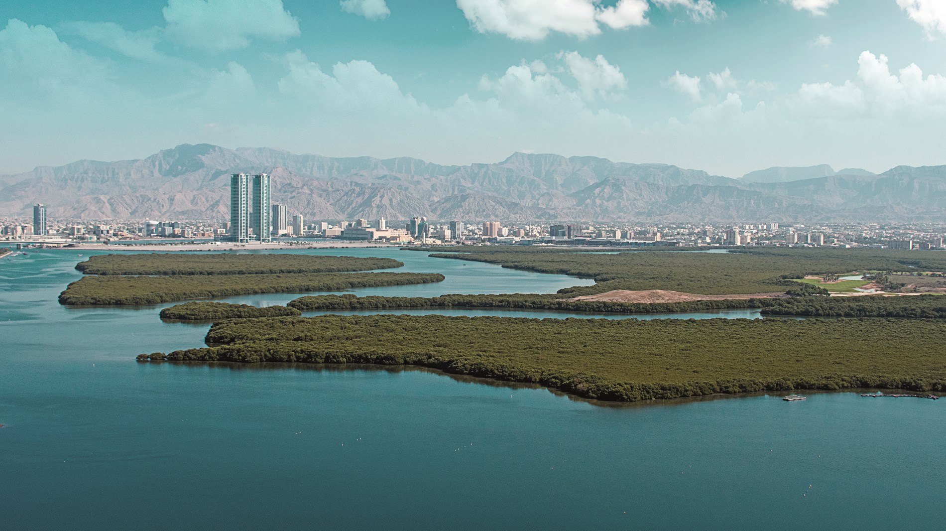 1e798272-eef7-457c-a885-6566f526e492