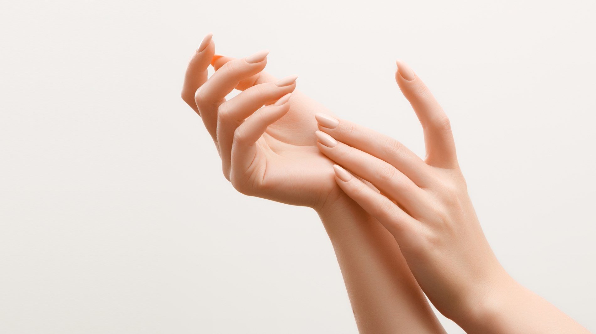 21b394a1-9ac6-42a0-8c80-0cc7045ff347