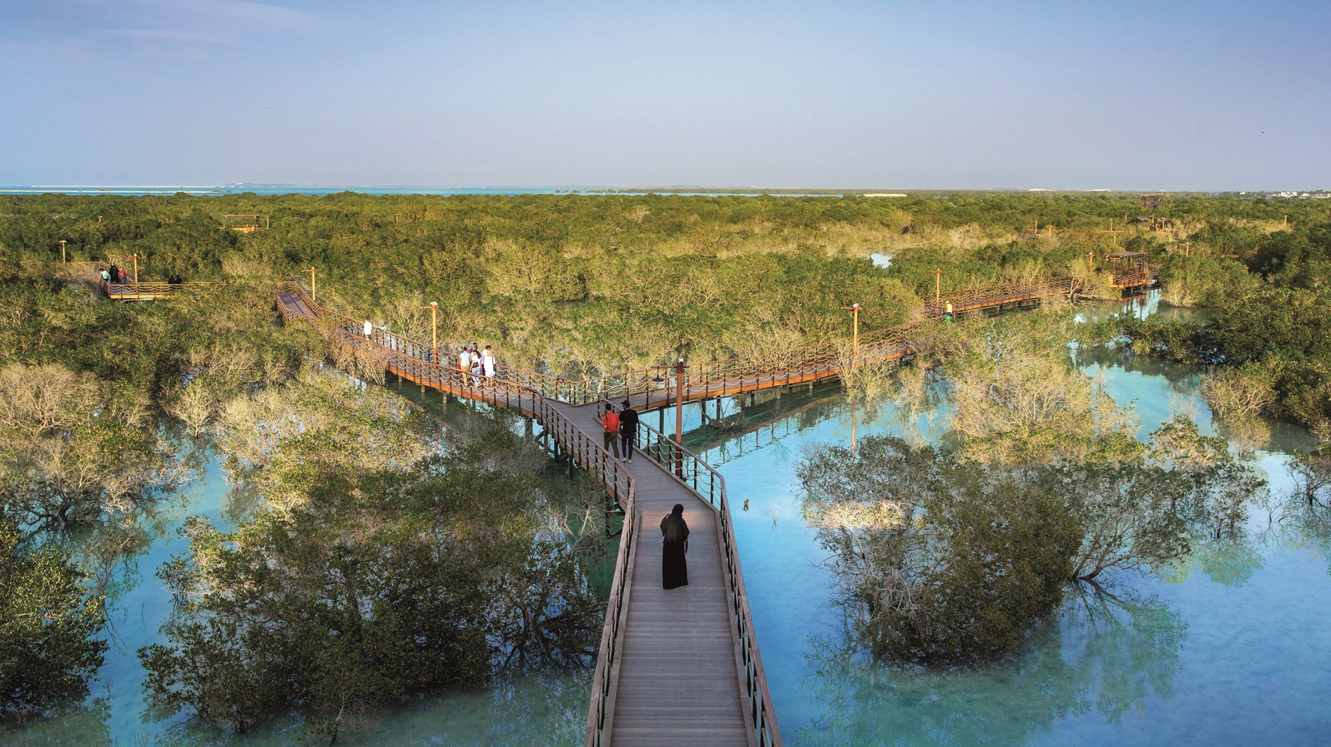 8d0c5e90-177c-4d6b-845c-a93d7b6ed14a