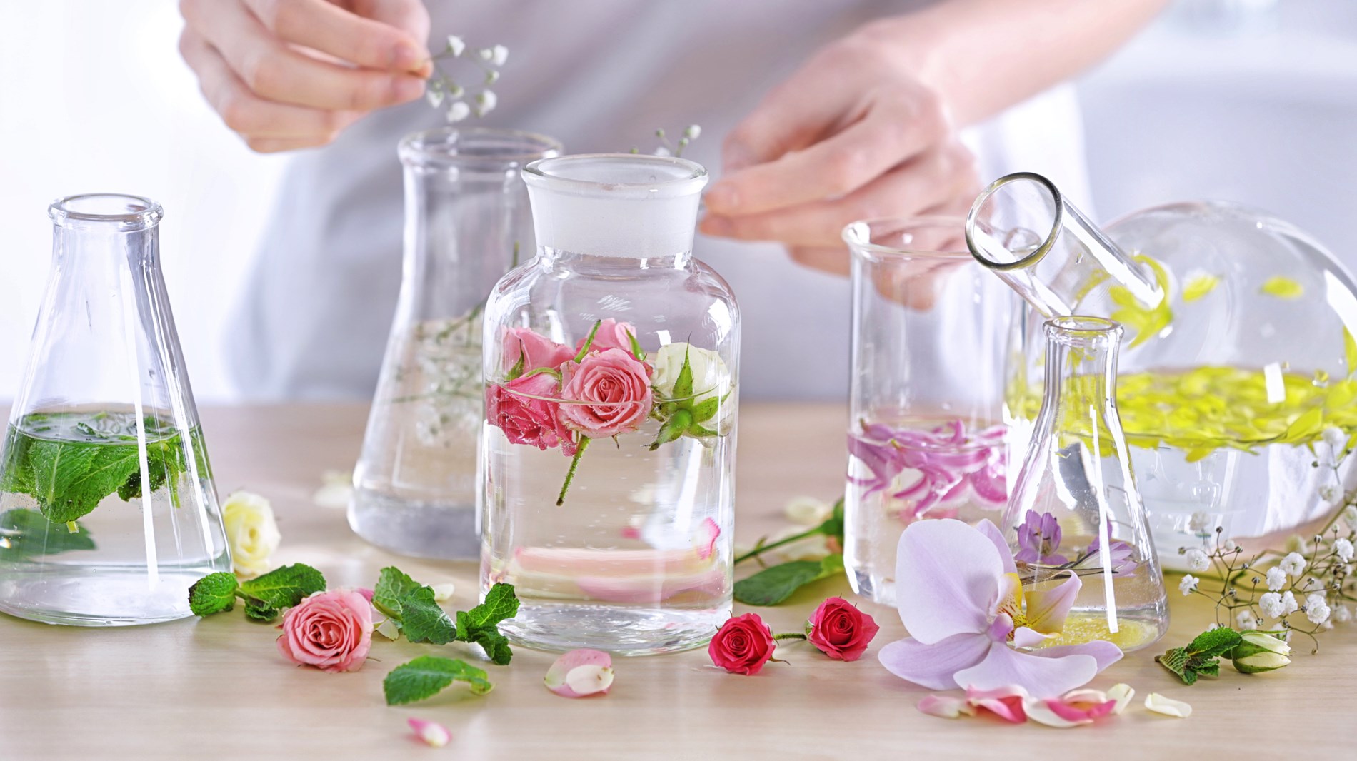 8efc2094-8738-446c-bbf9-bcdcb0680d81