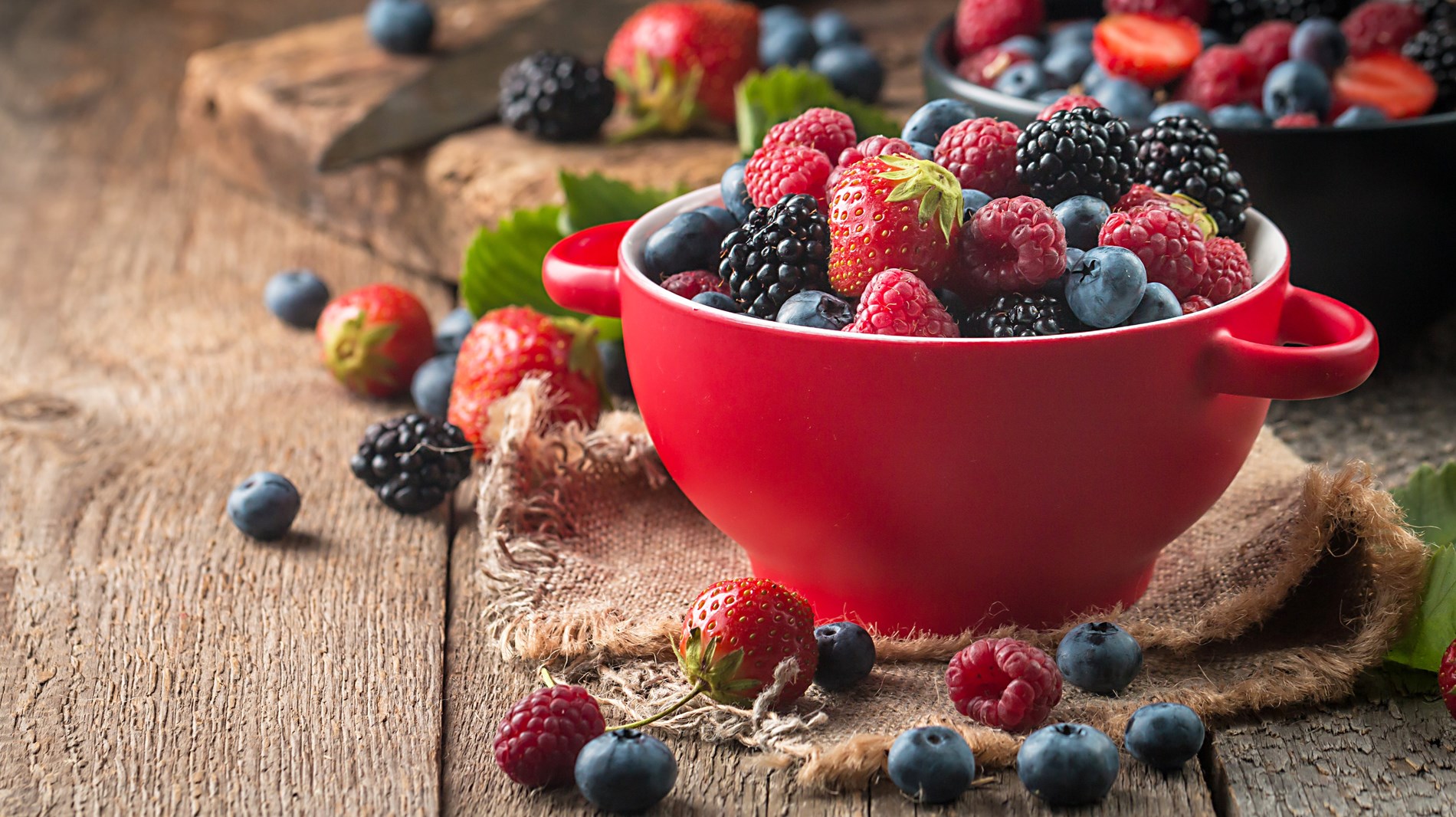 afba0736-0940-4284-ac34-b2e164e3b815