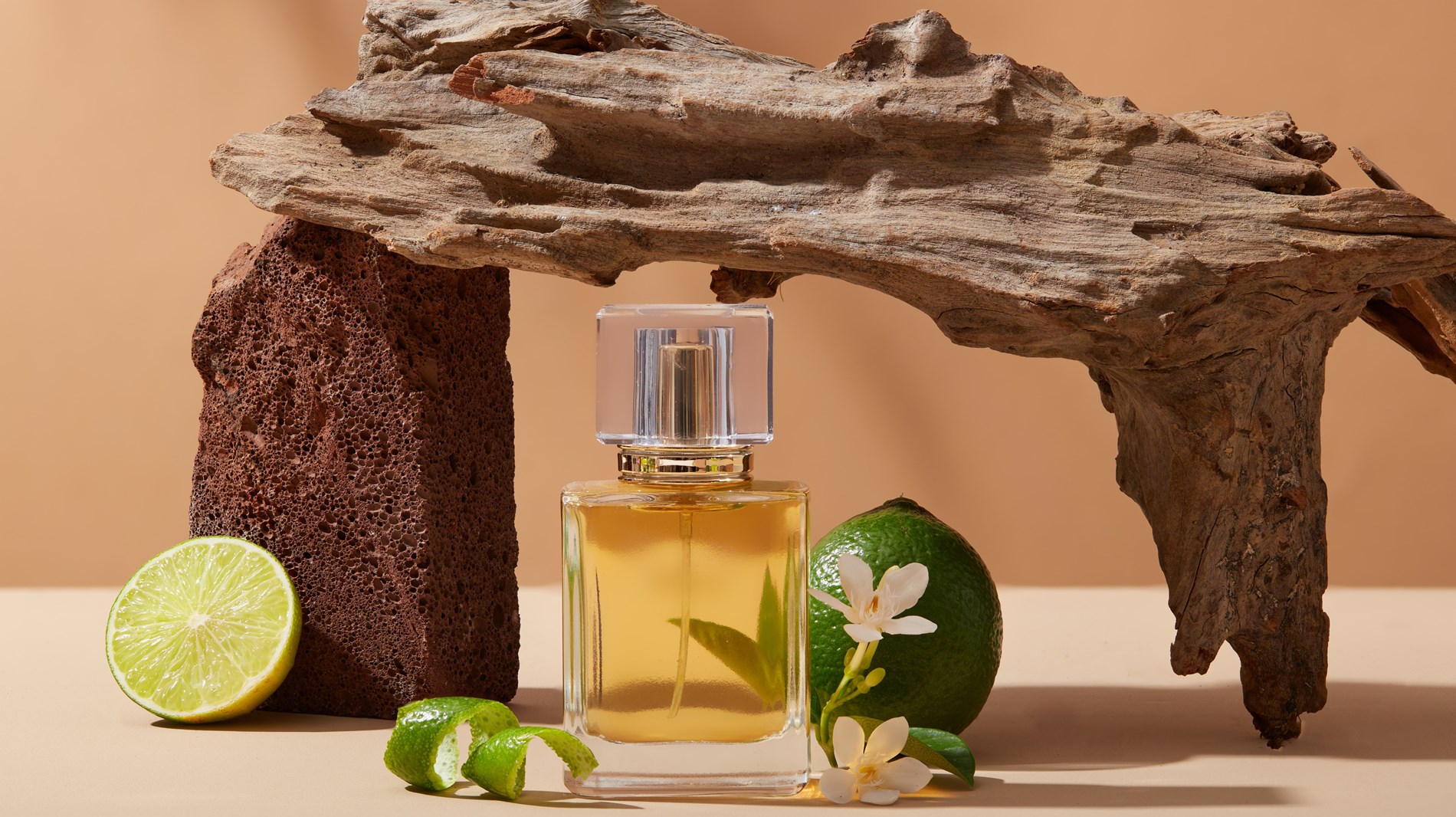 db46bfdb-f371-420c-a22b-e39319b265fa