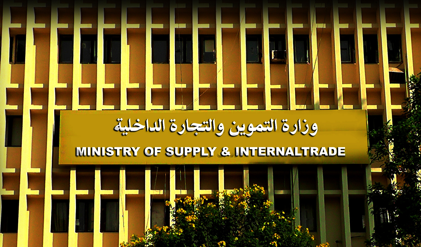 image - 2023-10-07T181123.716