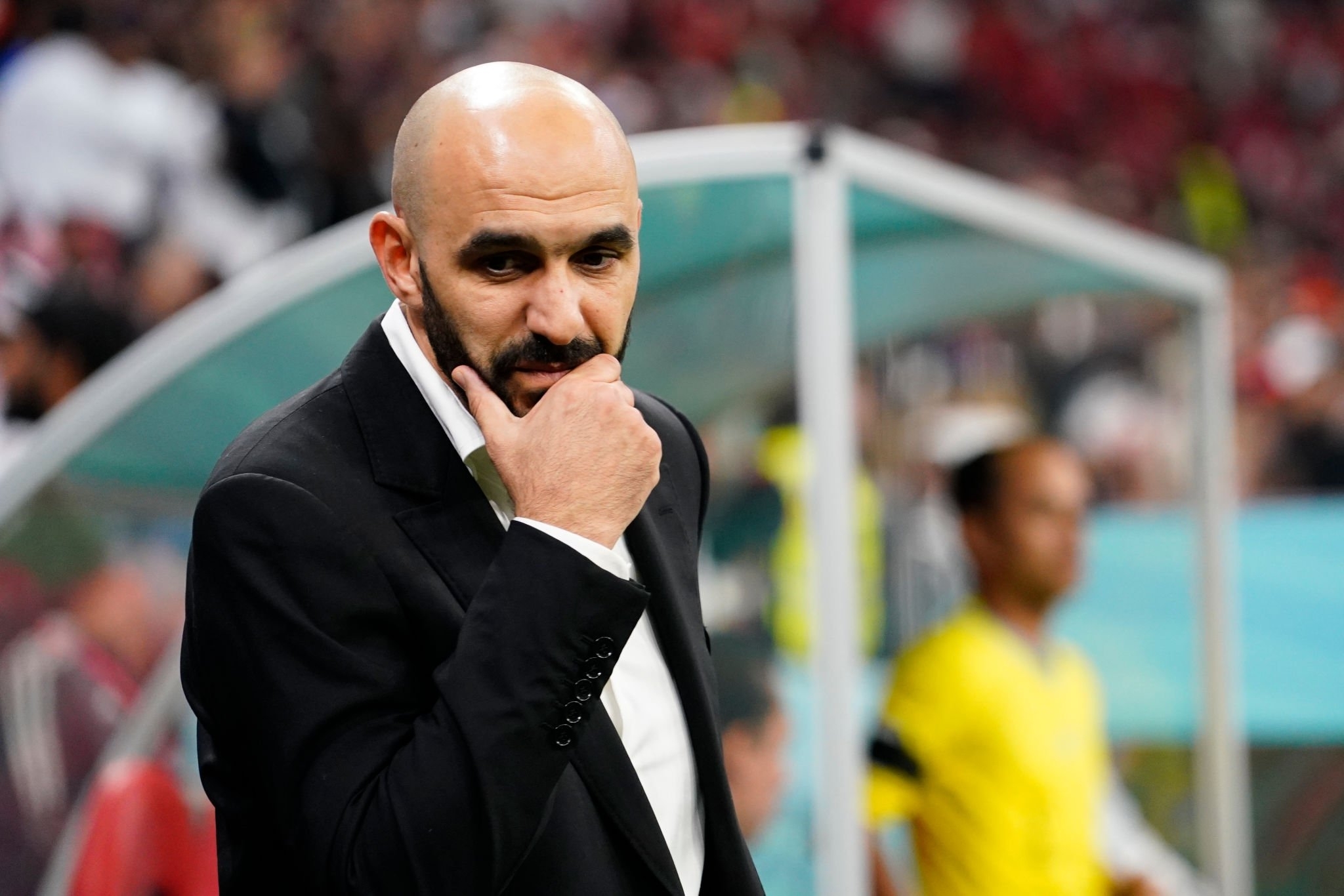 image - 2023-10-15T075850.994