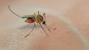 sabq_2023-10_0eaa79d1-f050-41d6-be95-60830e2b8f7a_363c1195_0ad3_481e_ab02_1fd6f6adc3c6_16x9_1200x676