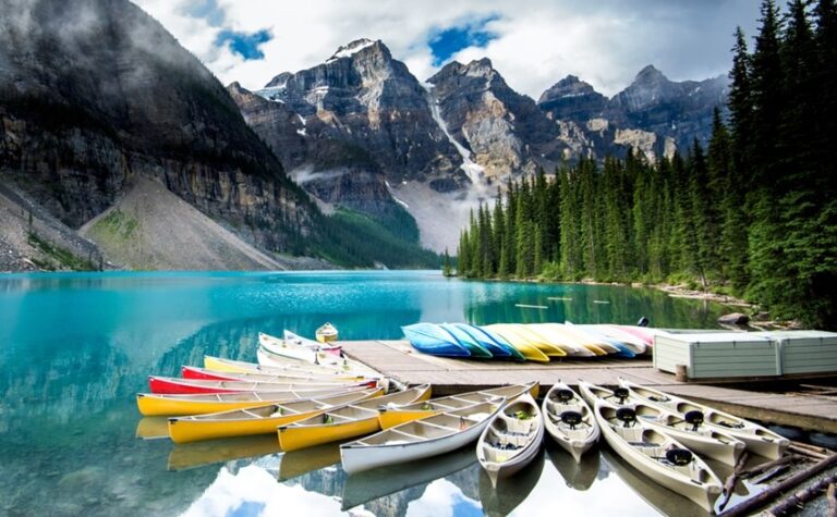 255511a6-d2d0-41ae-ba21-c84b0335396e