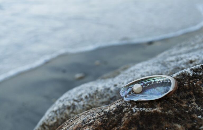 8f853ce4-3f0f-46df-b1bc-476c6f1bbd74