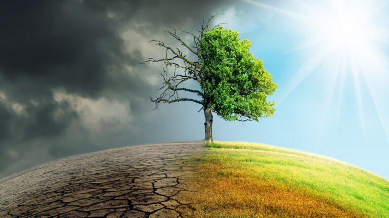 c9a7d758-c74e-4117-aaf8-f02475cde60a