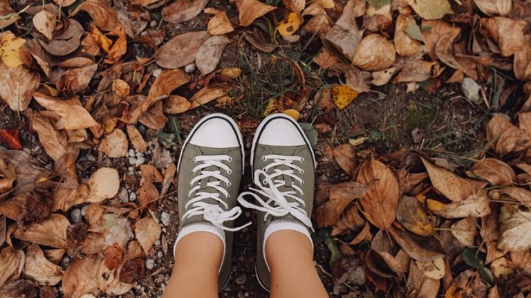 dd784791-6fa6-4dd8-a91a-b6b4072c4fad