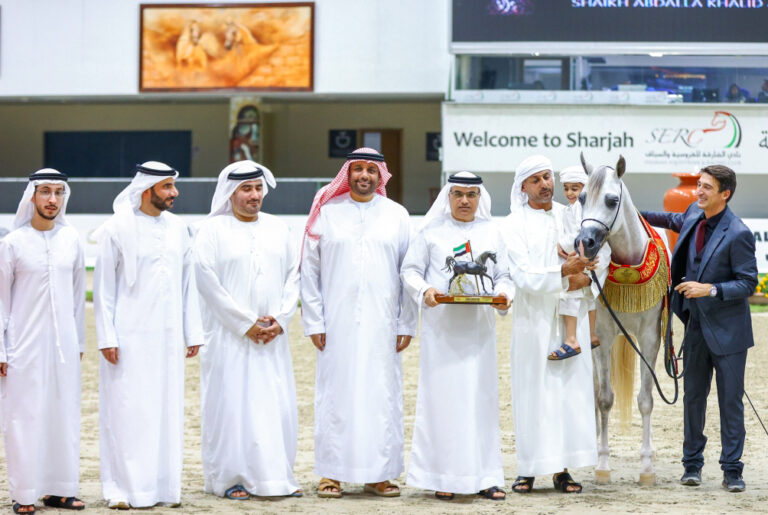 image - 2023-11-07T085313.539