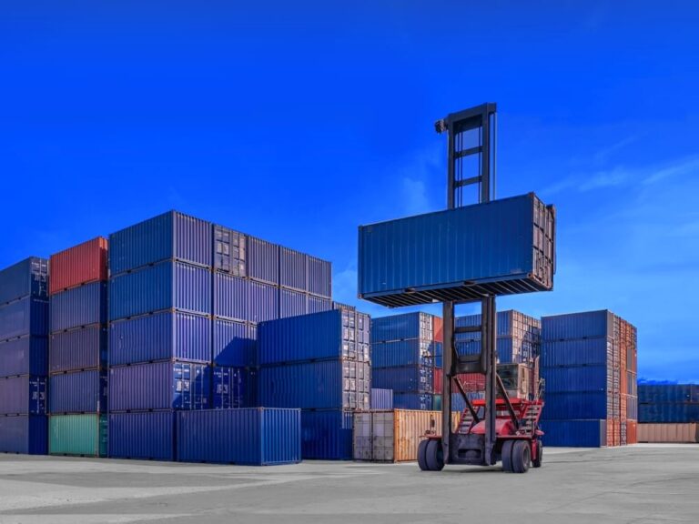 image - 2023-11-21T074632.576