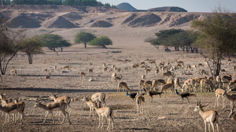 56f4f91b-5fbc-4fb0-84f6-cd775bfda8e8