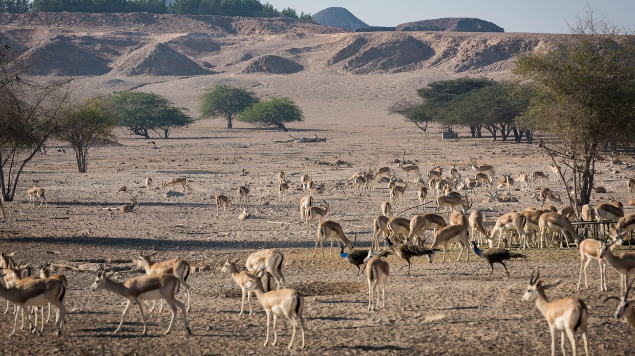 56f4f91b-5fbc-4fb0-84f6-cd775bfda8e8