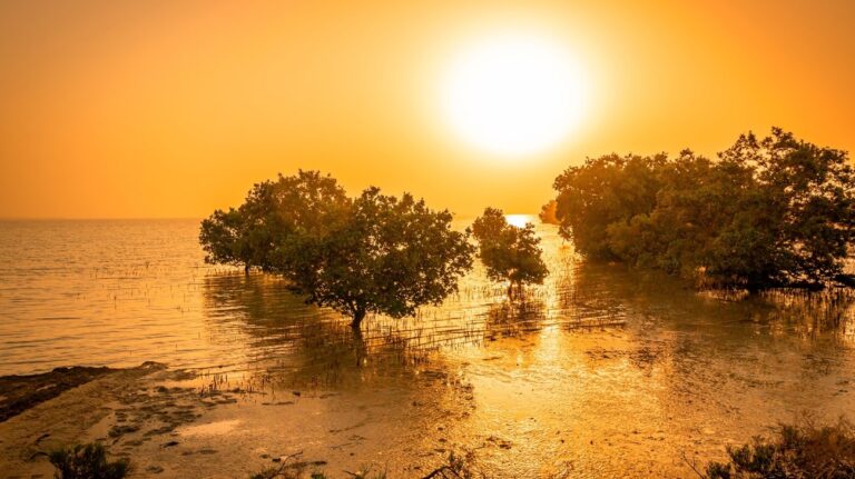 9fe54c51-81f2-4fb6-9df3-0df60c0f8545