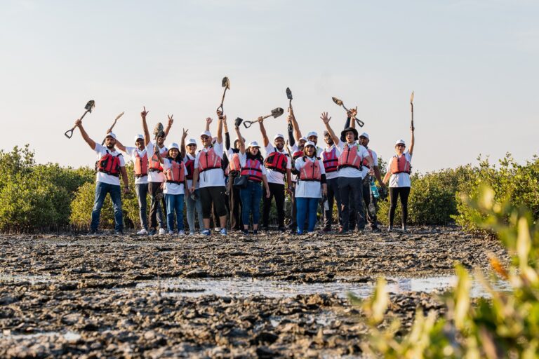 Mahzooz green warrior planting mangrove trees