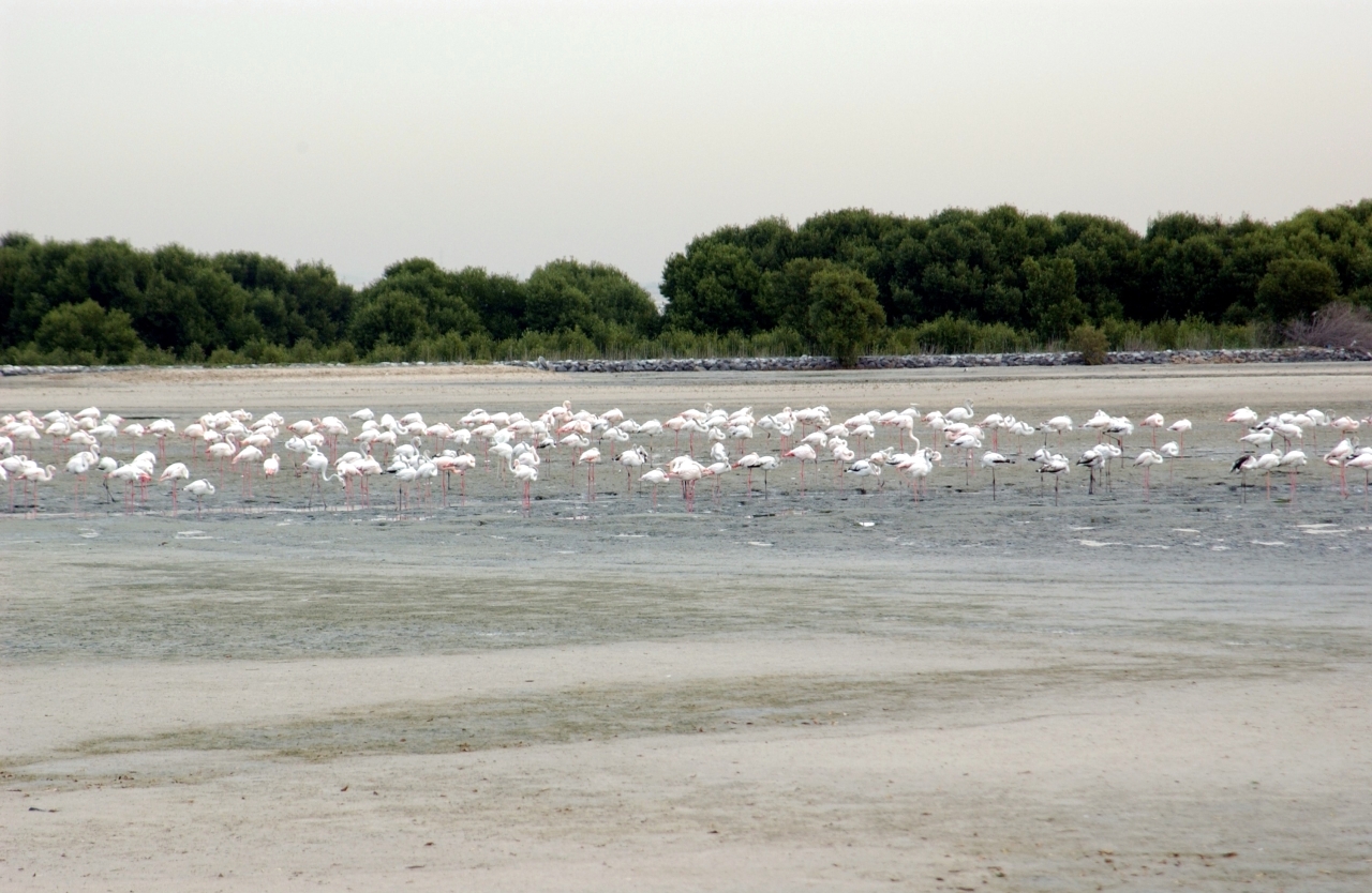 image - 2023-12-06T081000.724