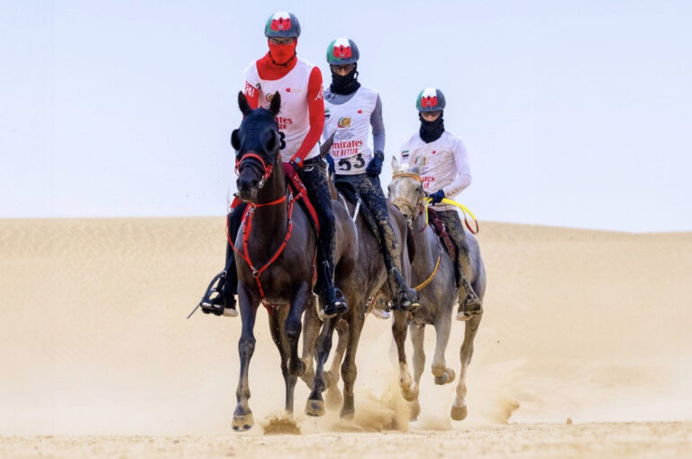 image - 2024-01-01T084704.222