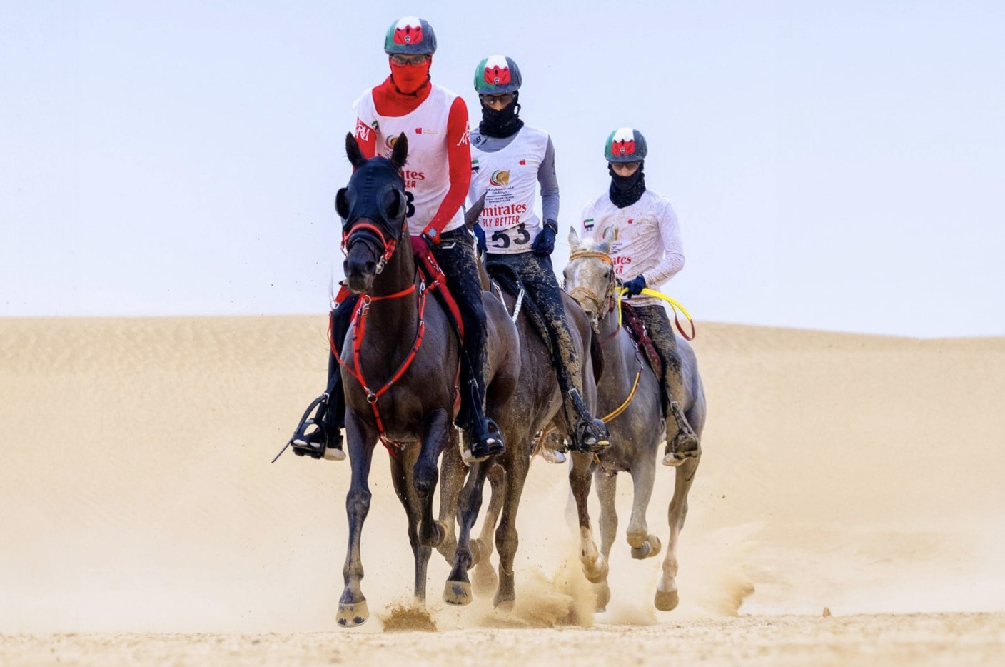 image - 2024-01-01T084704.222