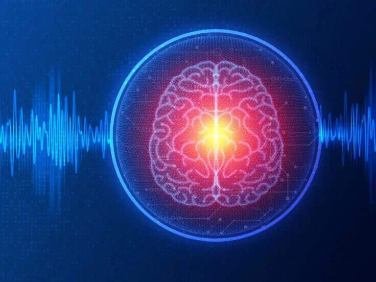 image - 2024-01-01T111352.586