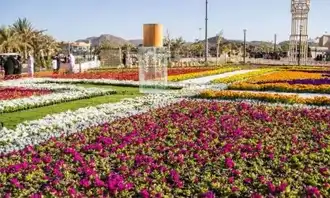 sabq_2023-12_87a2b800-e8f1-4c2f-ad99-024d833bca64_image0__1_