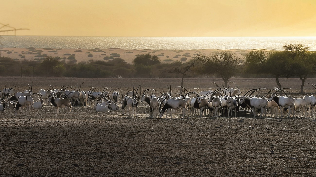 24d48451-b969-4001-b173-1c0db7b8bb7e